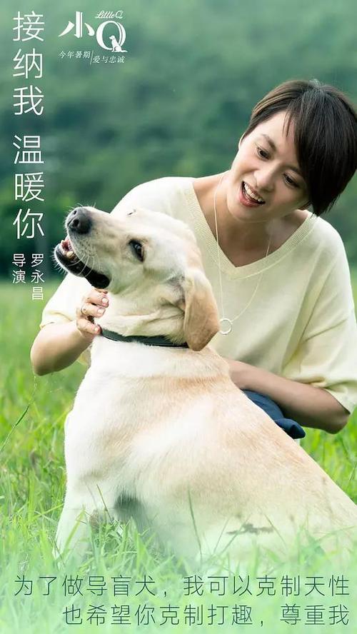 乔治城大学本科学位证